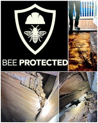 bee protected san diego california - bee protected san diego california